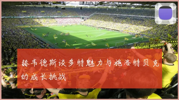 赫韦德斯谈多特魅力与施洛特贝克的成长挑战