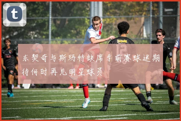 东契奇与斯玛特缺席季前赛球迷期待何时再见明星球员
