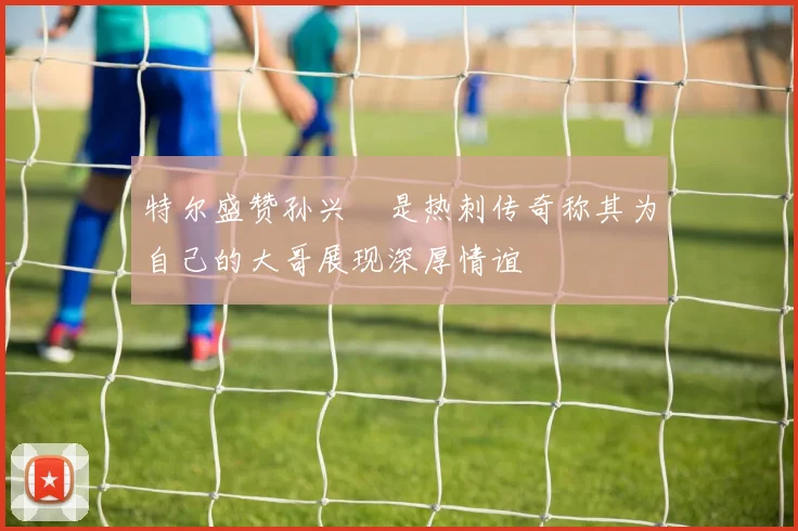 特尔盛赞孙兴慜是热刺传奇称其为自己的大哥展现深厚情谊