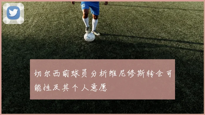 切尔西前球员分析维尼修斯转会可能性及其个人意愿
